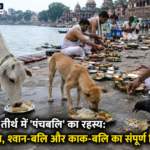 gayaji me panchabali vidhi aur niyam.webp