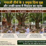 gayaji panchavriksha akshayavat pind daan vidhi.webp